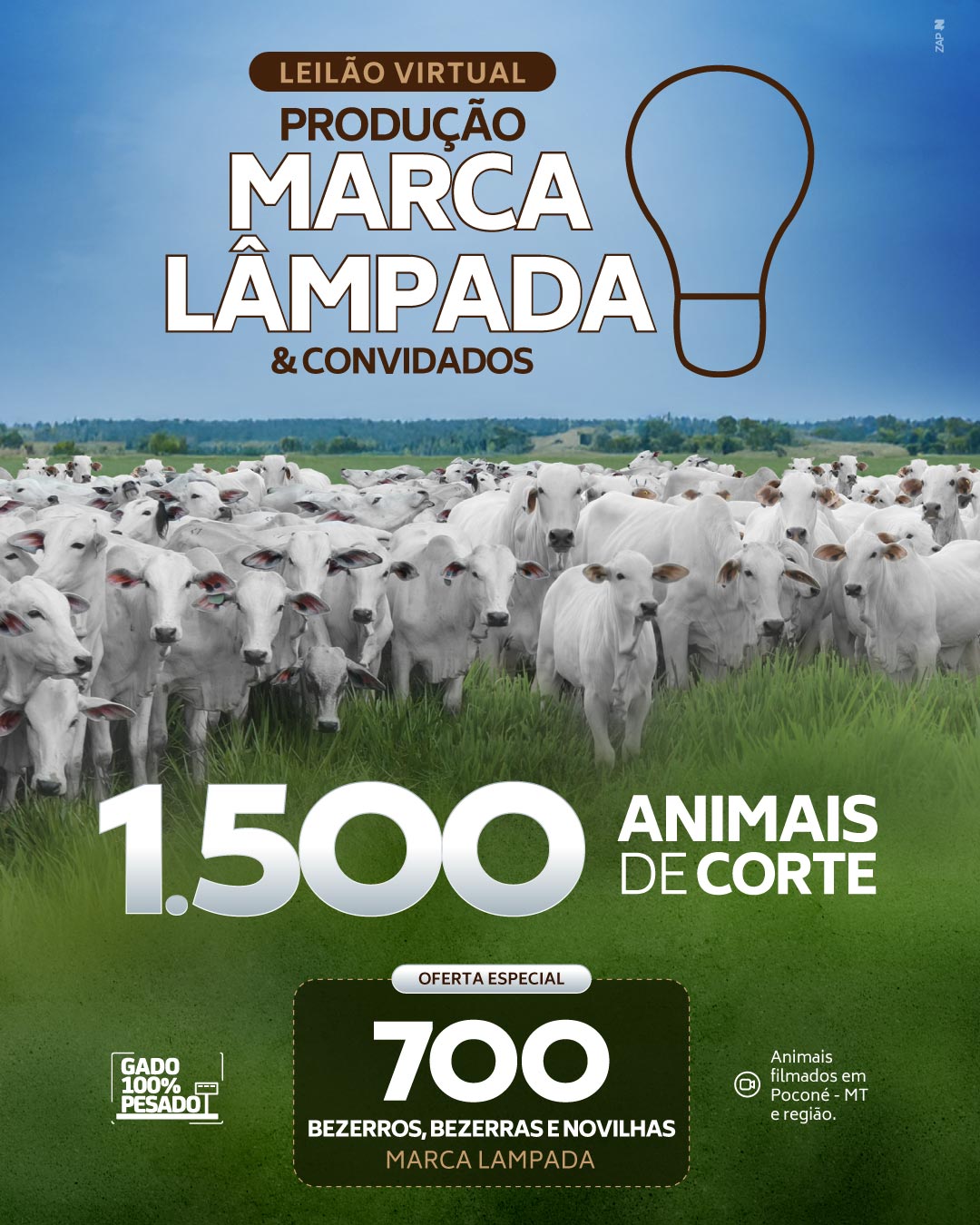Imagem do Leilão