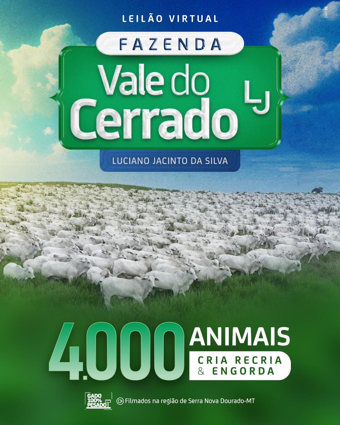 Imagem do Leilão