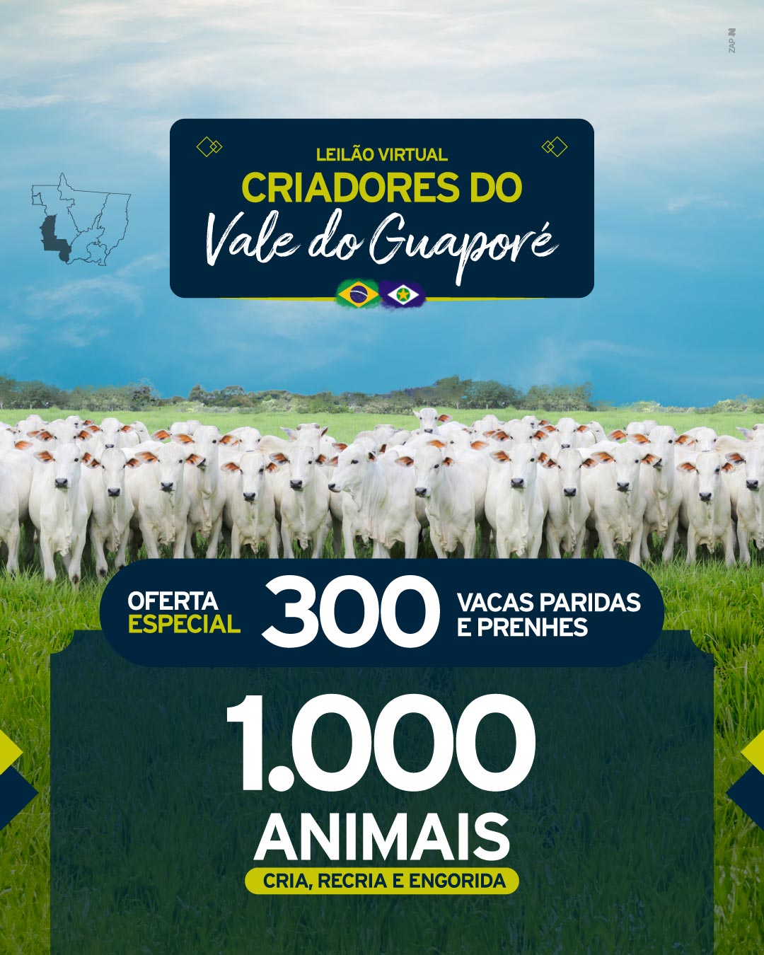 Imagem do Leilão